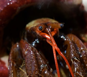 Звёздное небо