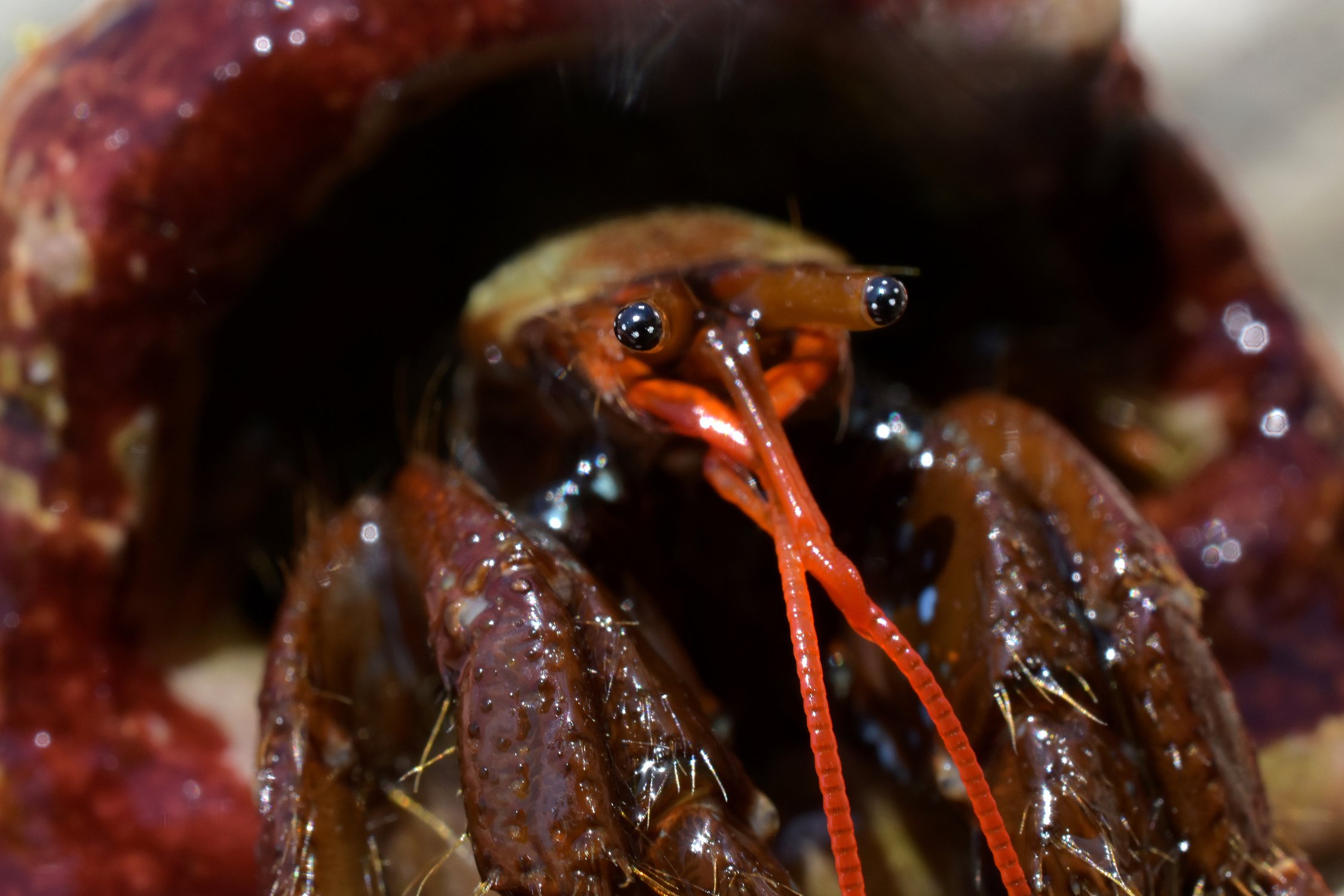 Звёздное небо