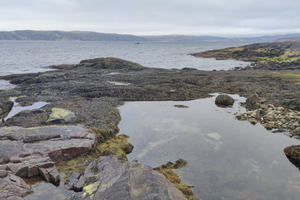 Северные приключения