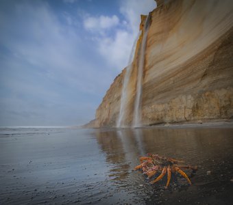 Головнинский клиф, остров Кунашир