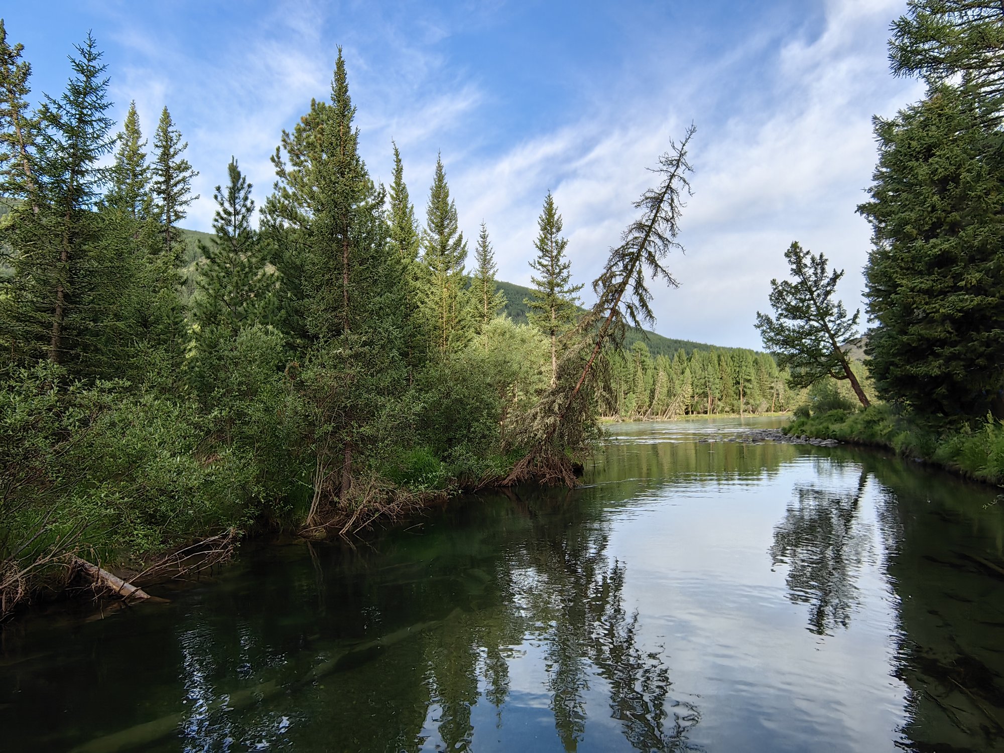 У слияния рек Бара и Аргут