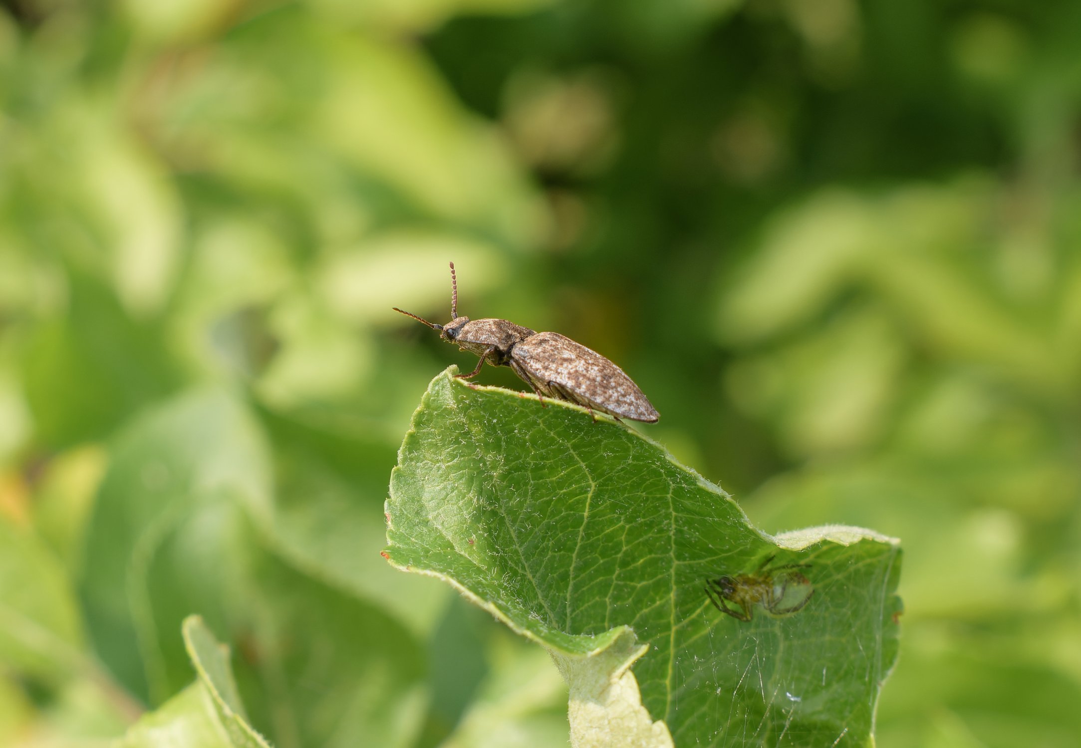 Не ожидая подвоха