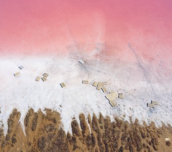 Нежность степи