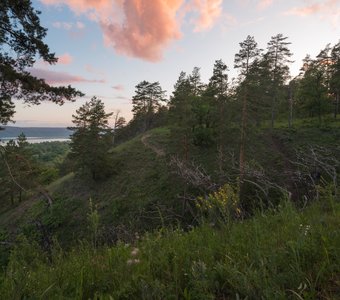 Сладкая вата