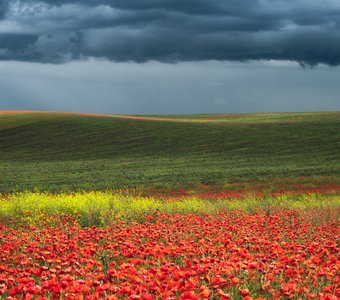 Буйство красок
