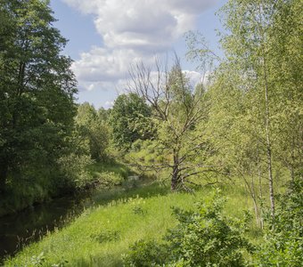 Река Присмара