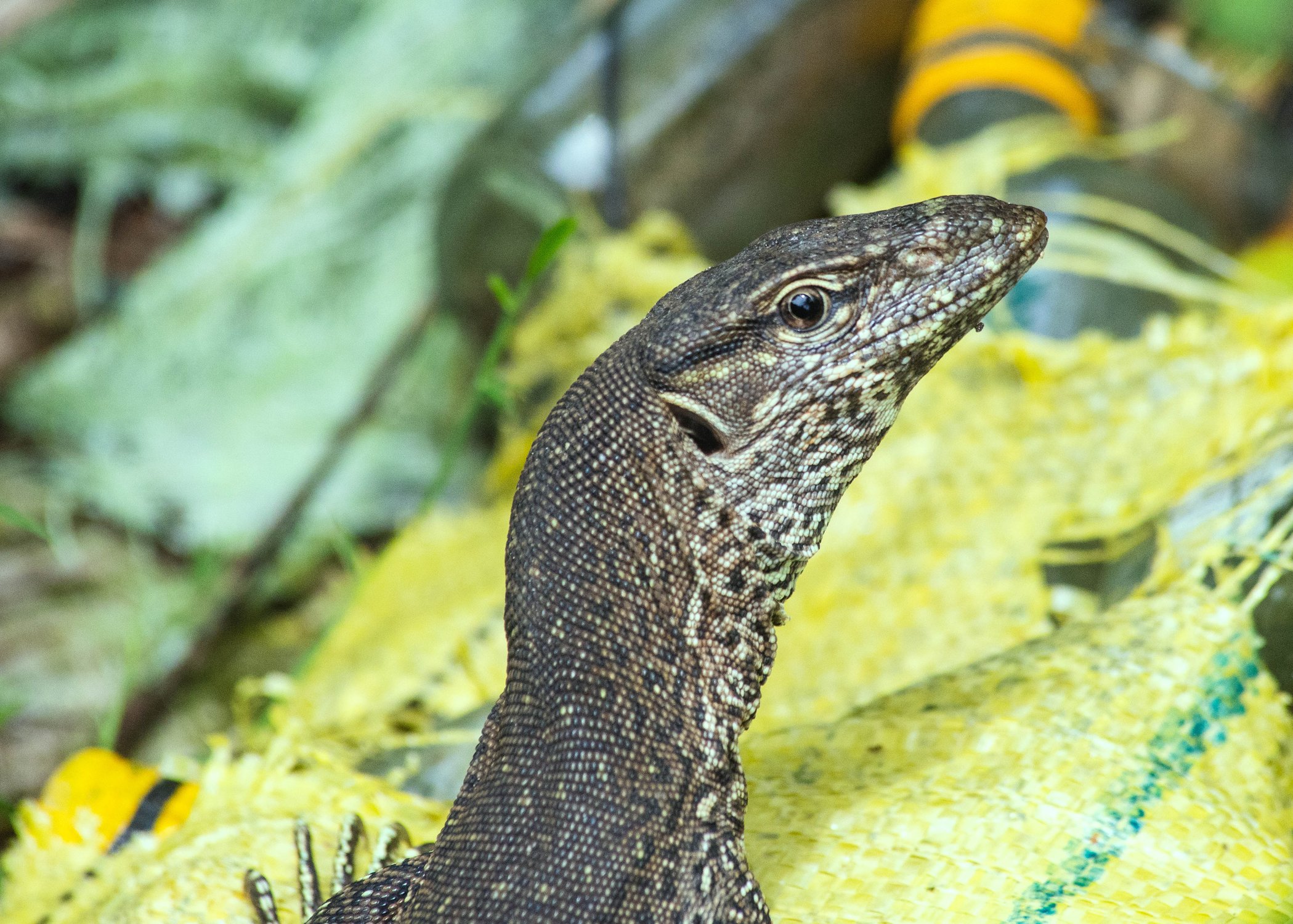 Большой брат следит за тобой