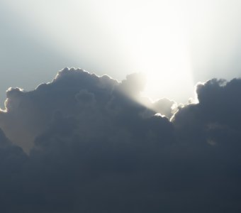 Утренний луч