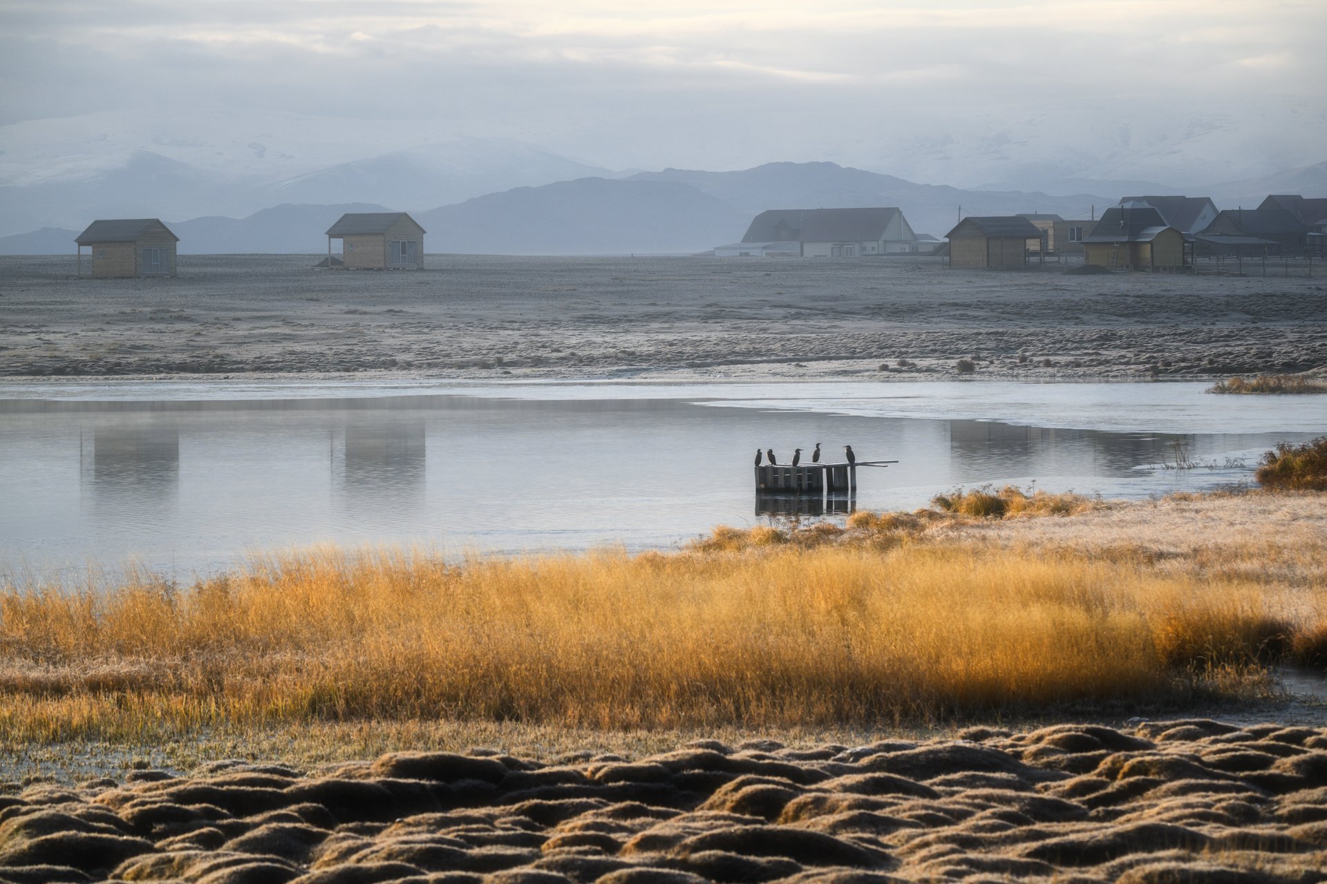 Рассвет для пятерых
