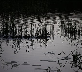 Зазеркалье