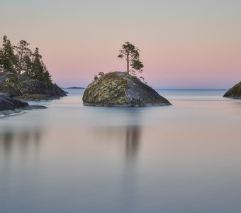 Ладожский кит