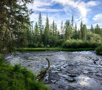 Утром на реке