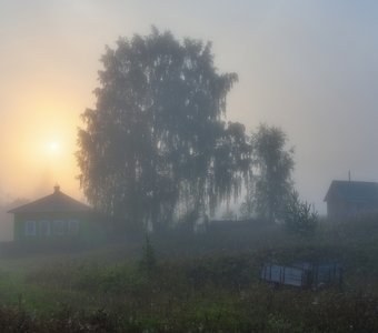 Солнце пробивается сквозь туман
