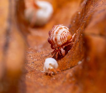 Путешествие в долине