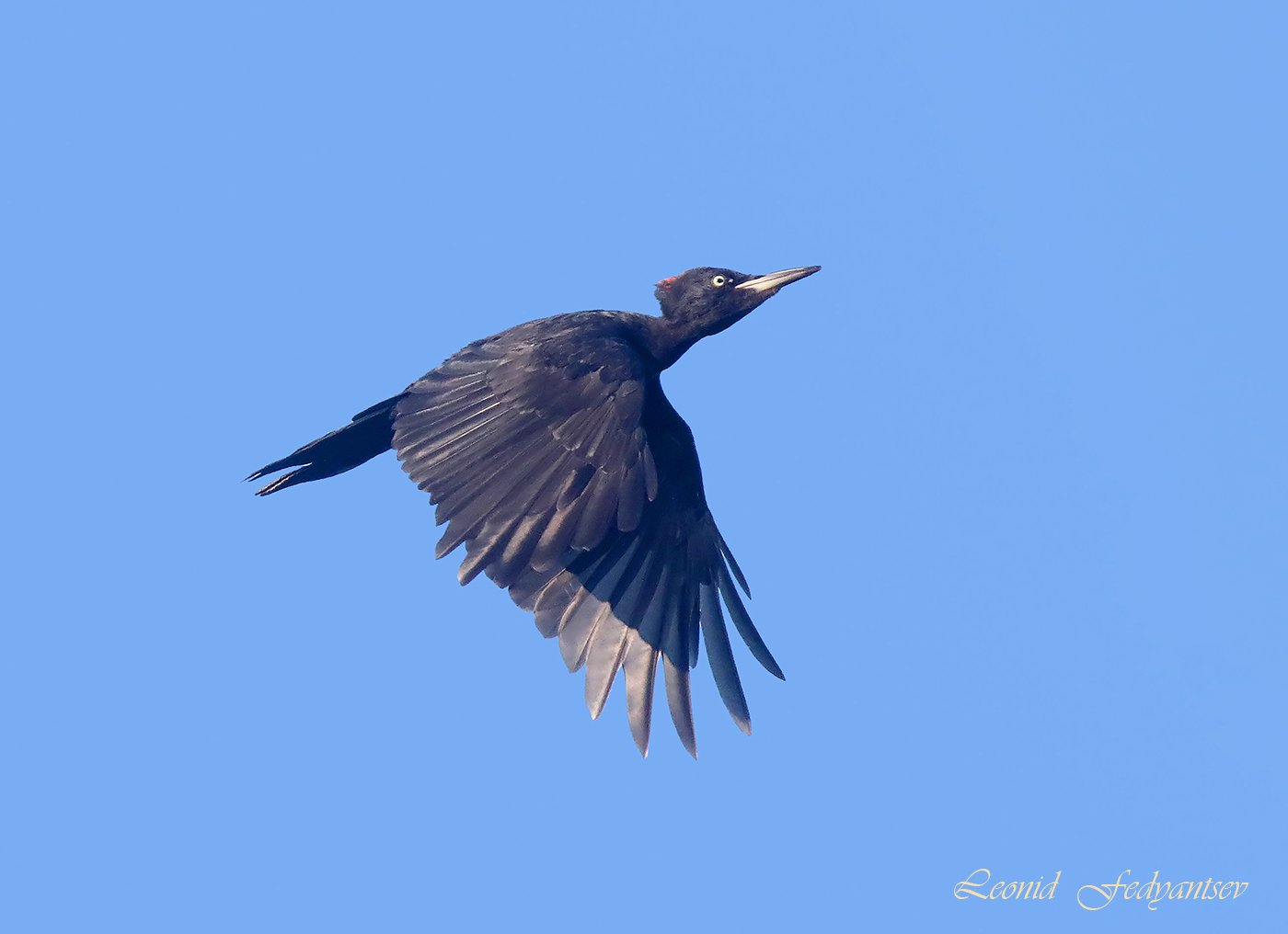 По неотложным делам