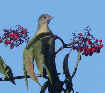 Как вам мой прикид?
