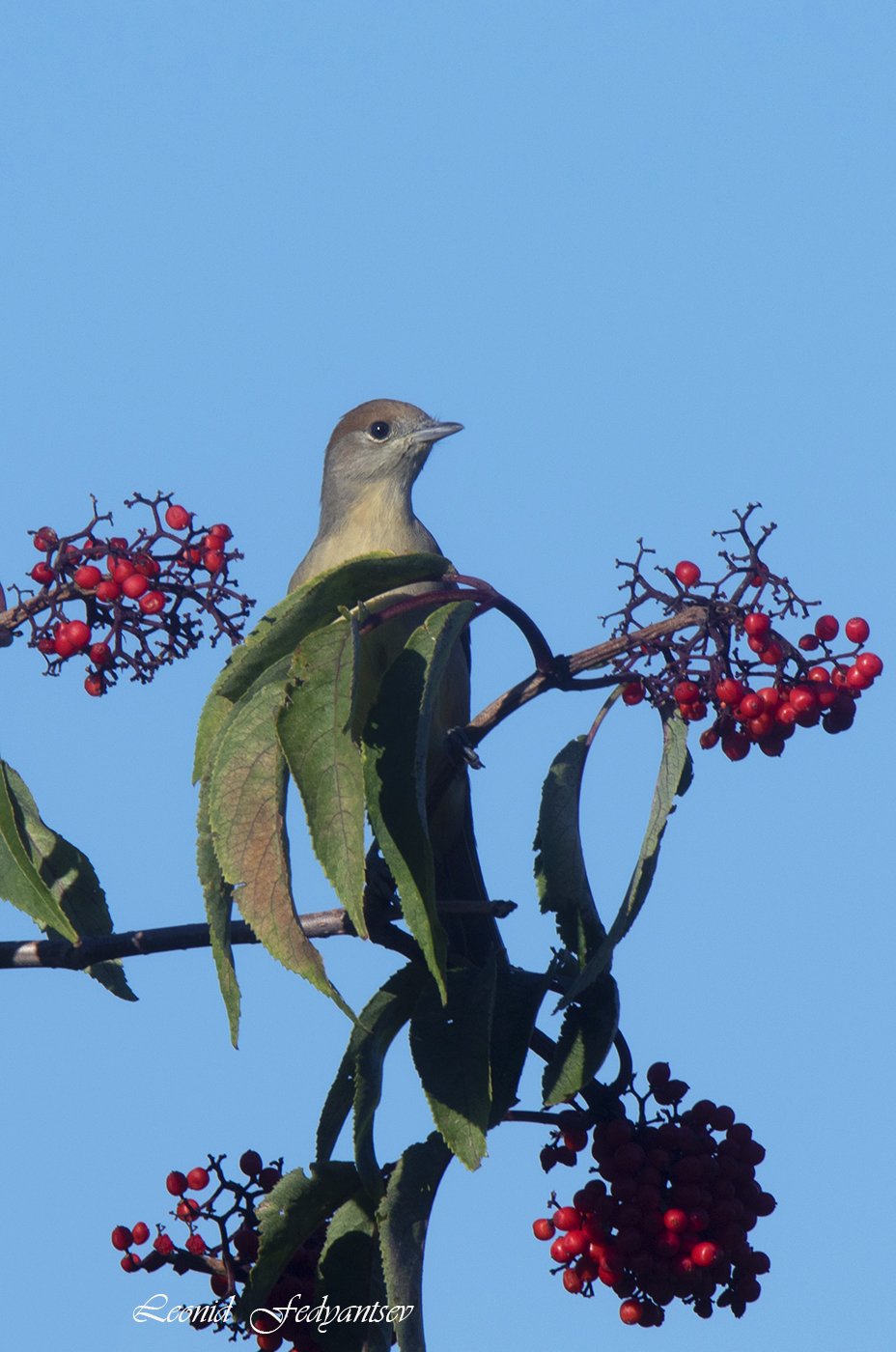 Как вам мой прикид?