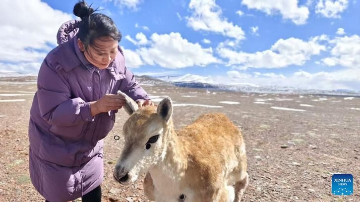 Фото: Xinhua/Jiao Xufeng