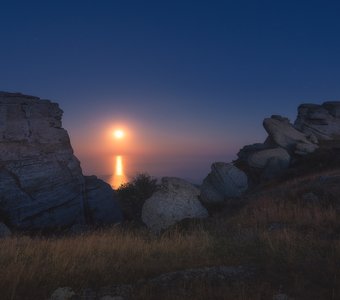 В лунном свете