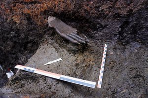 Археологи под Смоленском обнаружили древнюю руку