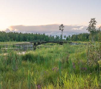 Остатки царской роскоши