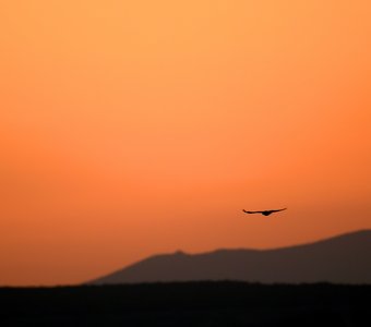 Пробуждение