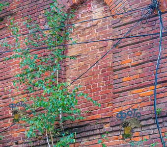 Доходный дом Толубеева. город Курск