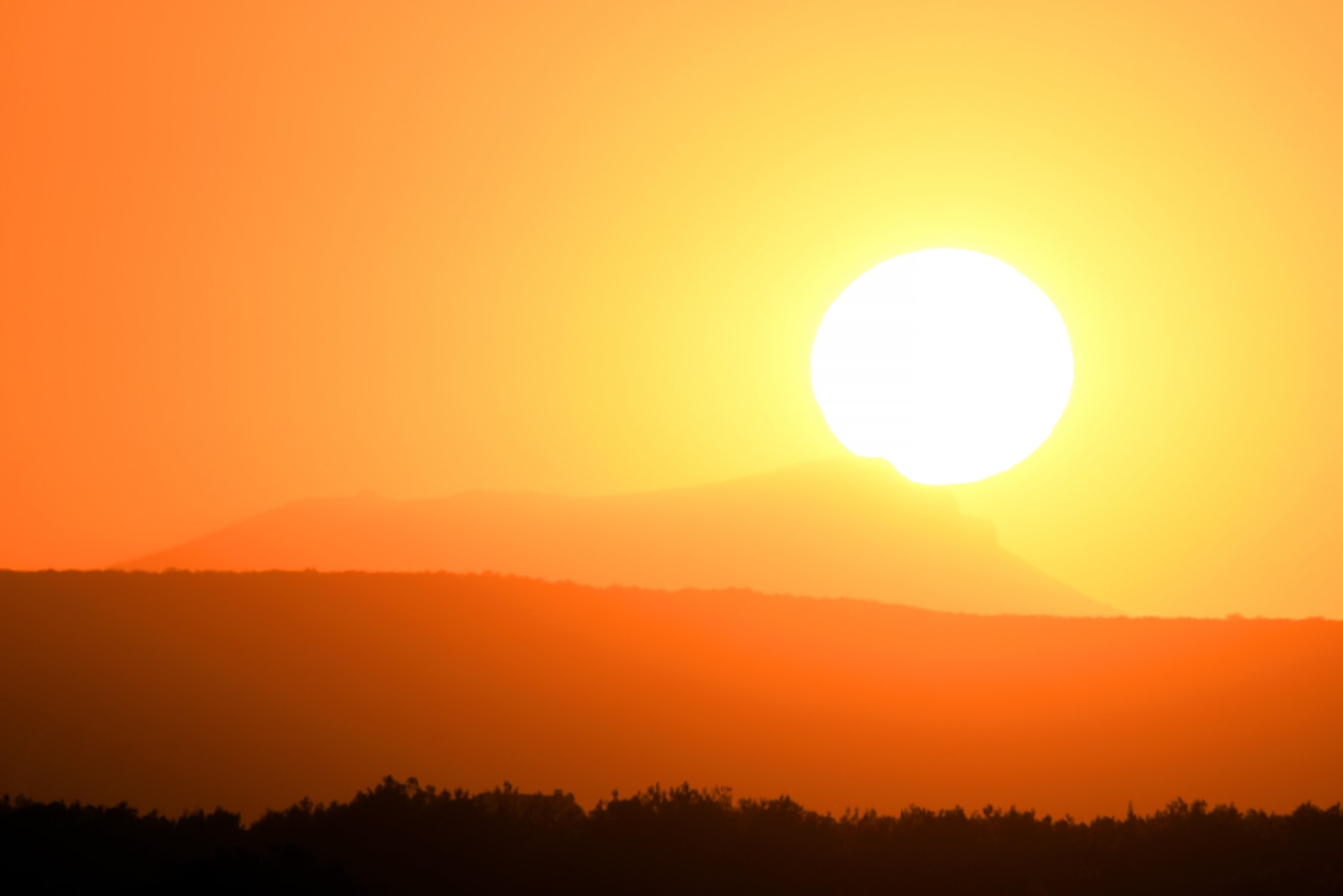 Первый свет нового дня