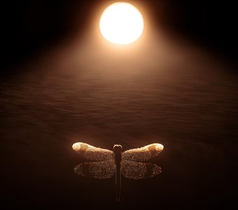 Песок времени