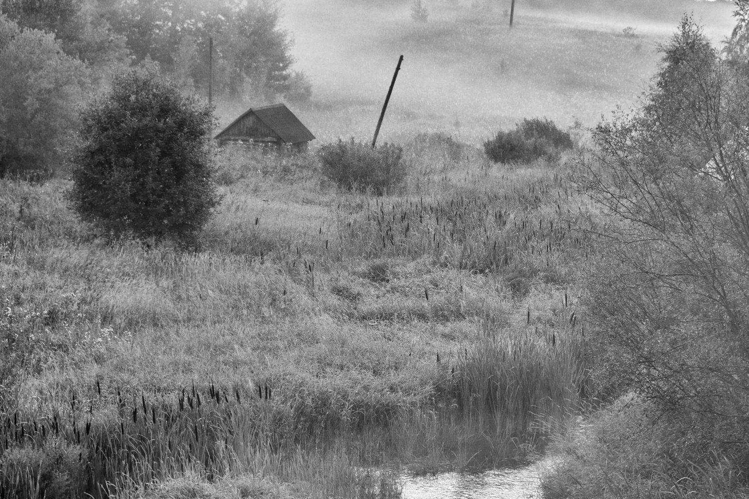 На берегу реки, ч/б