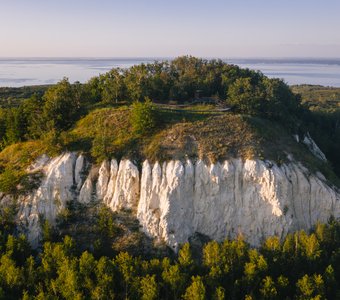 Зуб мамонта