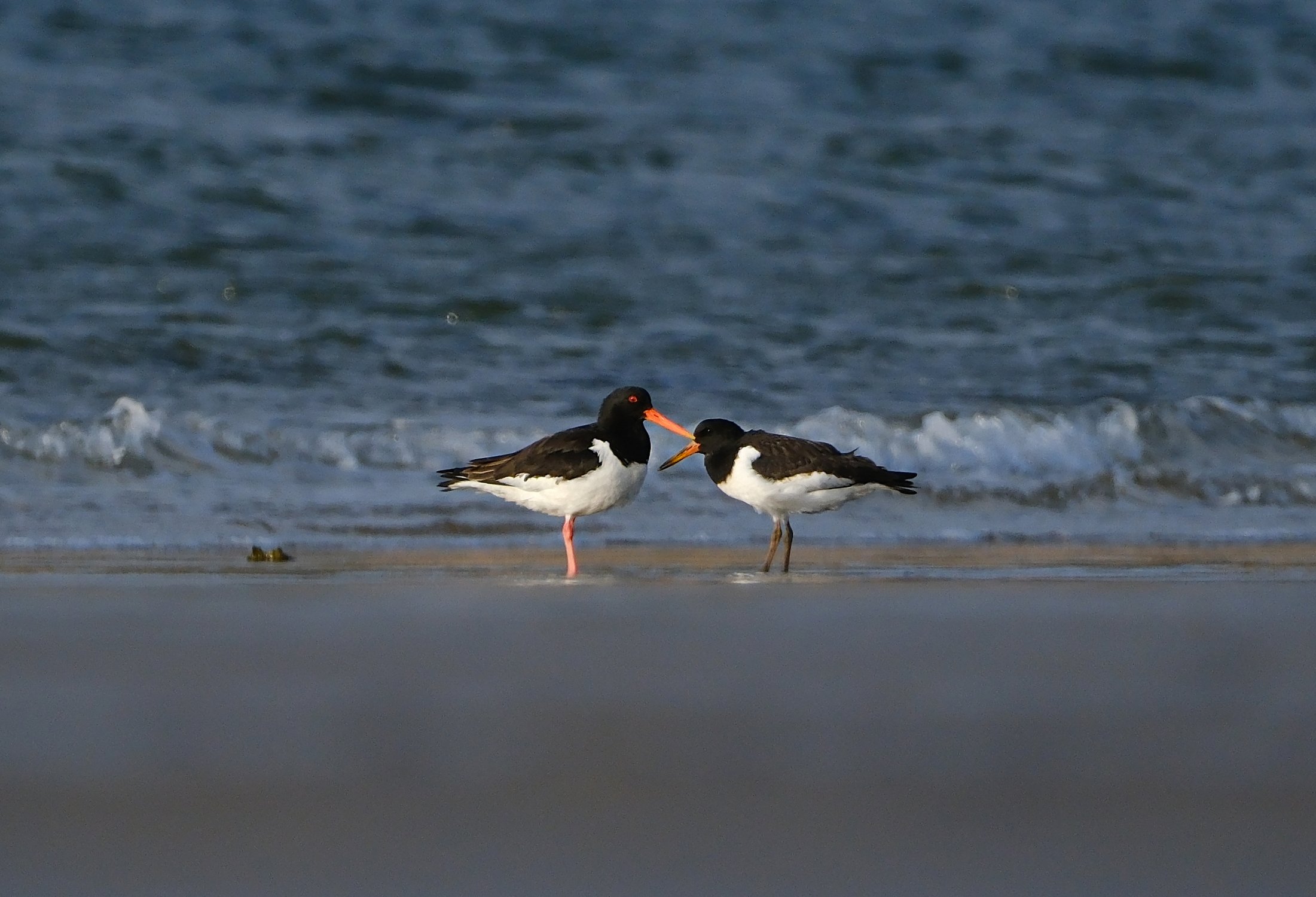 Вместе море по колено