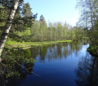 Солнечный день на речке Вьюн.