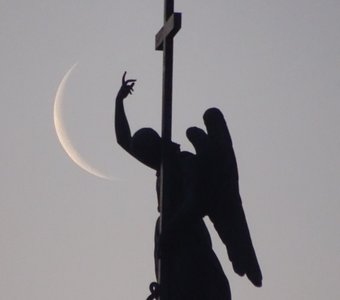 Ангел Александровской колонны в одну из светлых Белых ночей.