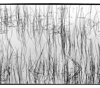 Kodak Ektar 100 -> BW