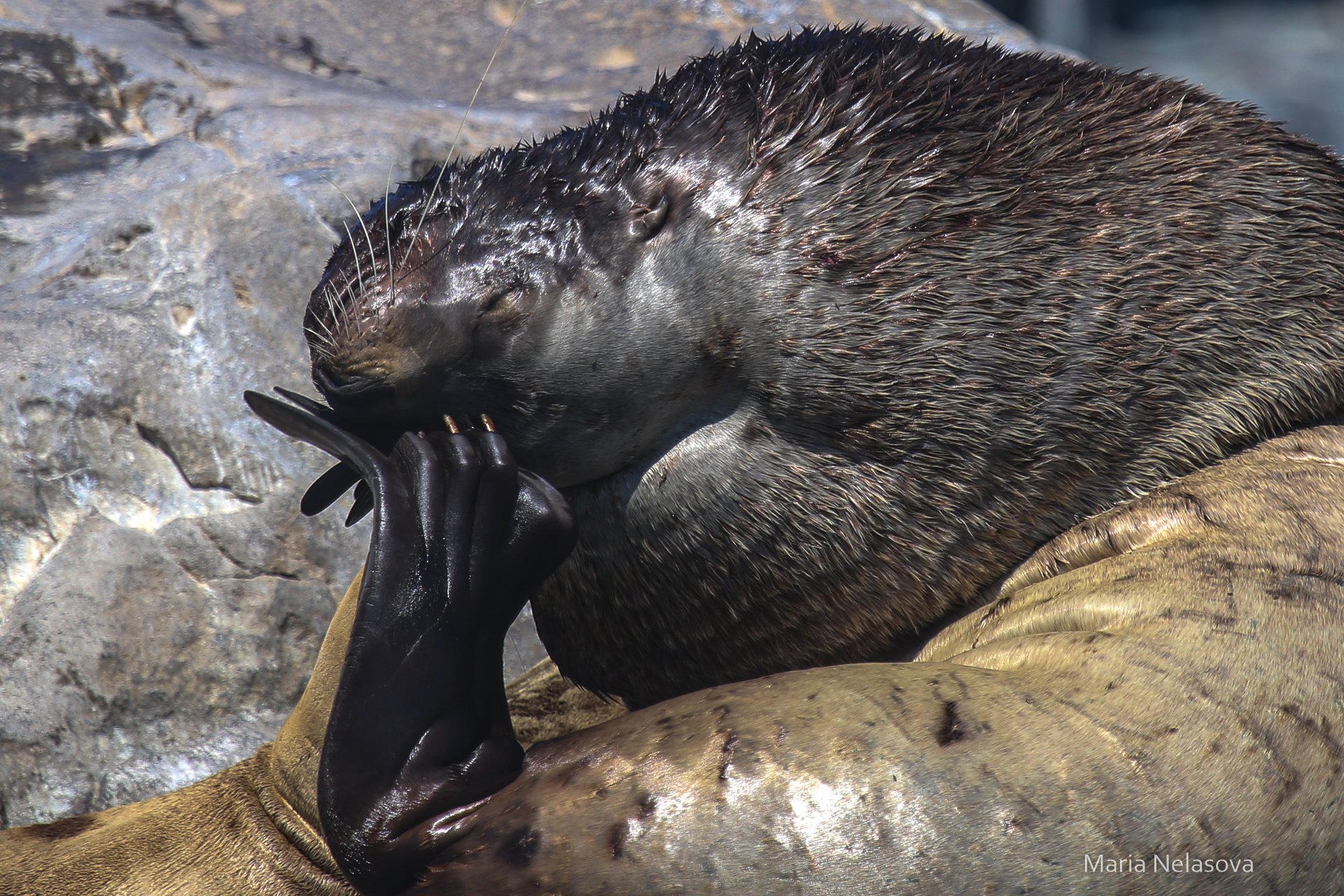 Я только носик почесать