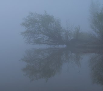 Зазеркалье