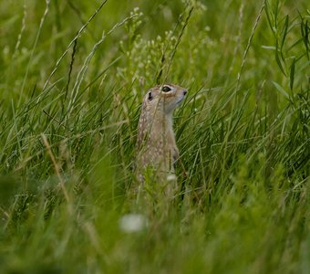 На дежурстве