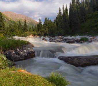 Лето в ущелье Тургень