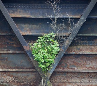 На створках старого шлюза