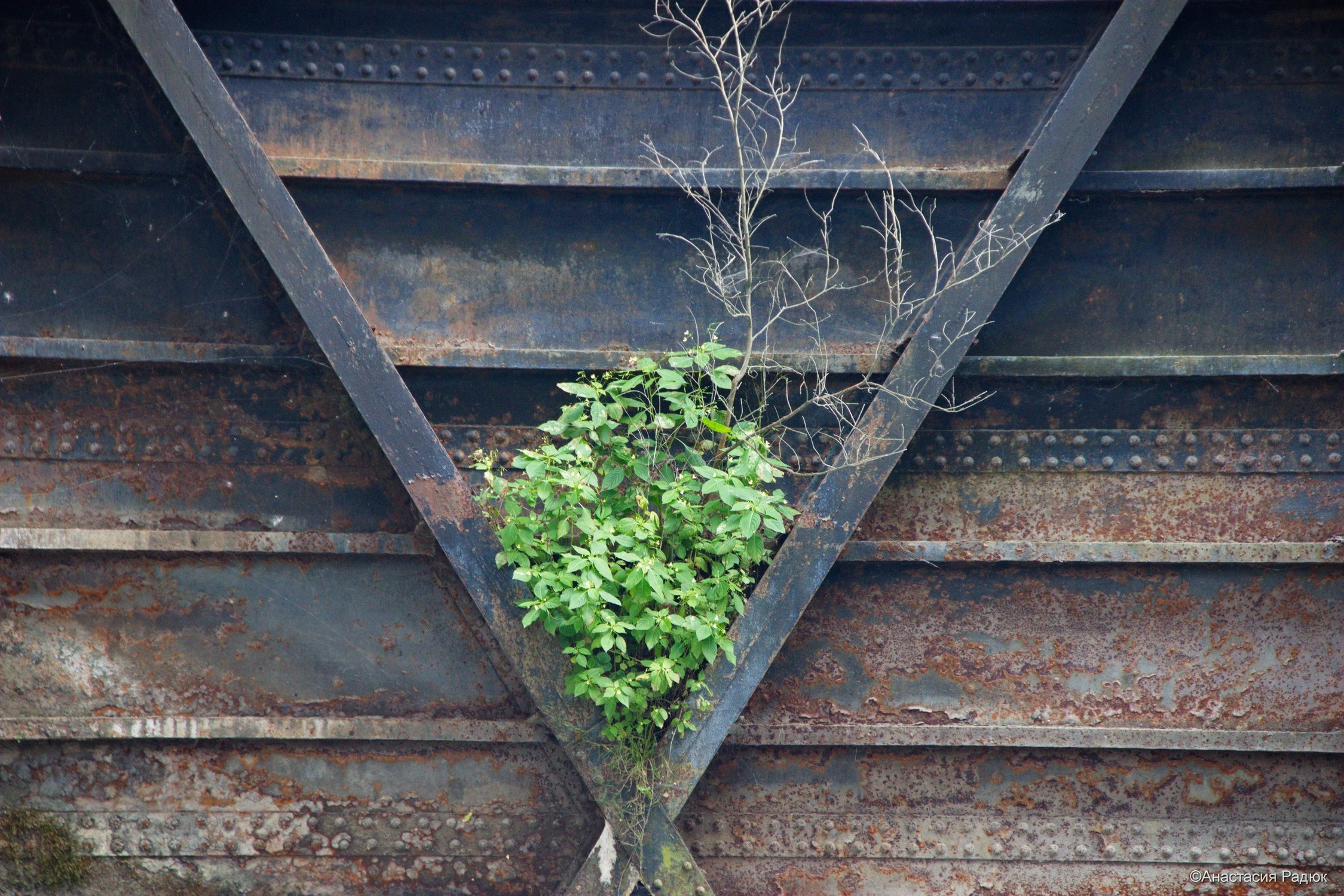 На створках старого шлюза