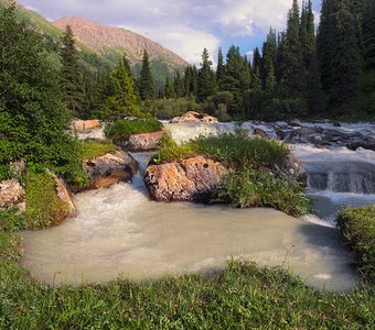 Лето в ущелье Тургень