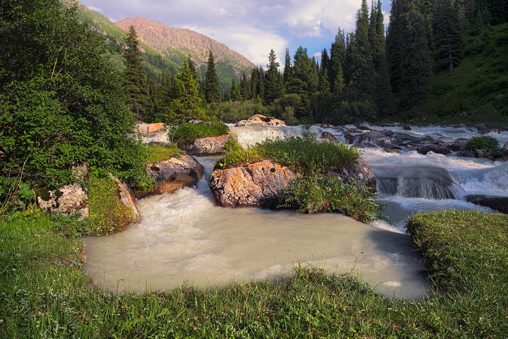 Лето в ущелье Тургень