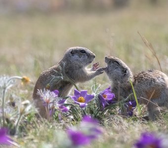 Зубки чистил?