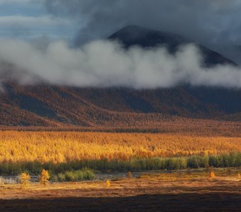 Золотая осень в Оймяконье