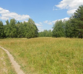 Дорожка в лес