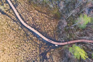 4 живописные экотропы Санкт-Петербурга