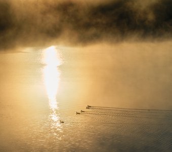 Путь на рассвет