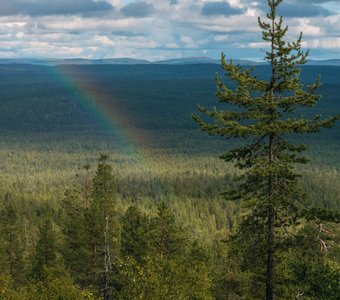 После дождя