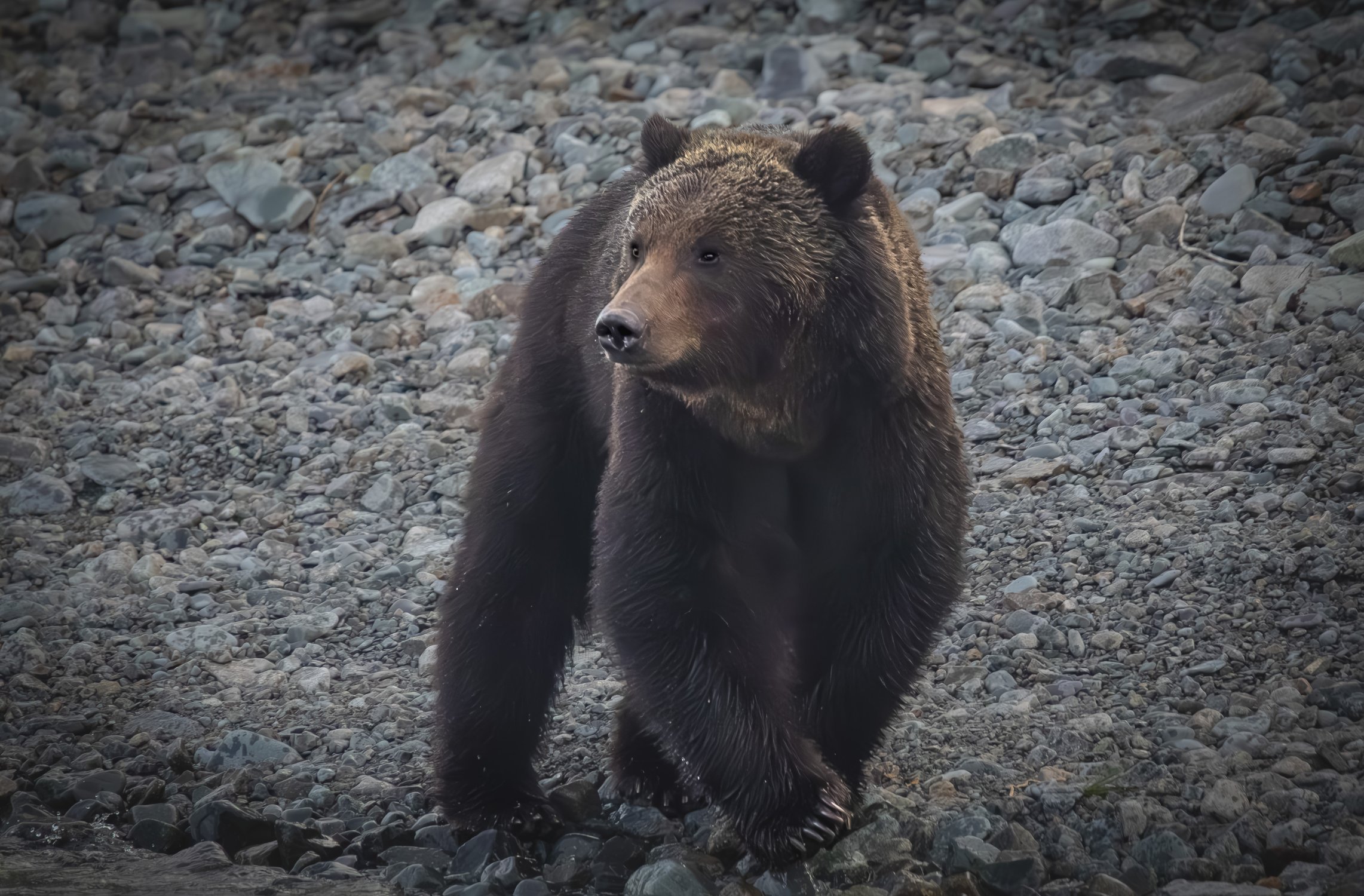 Хозяин Байкальских берегов